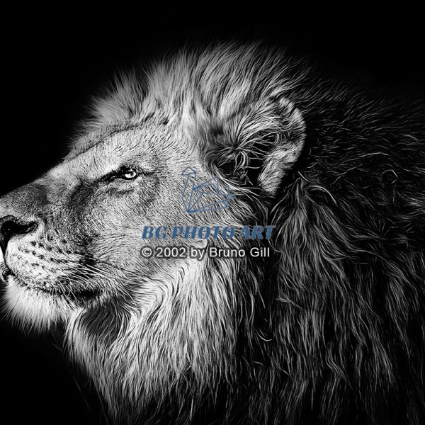 Animals #2 The Sovereign in Monochrome