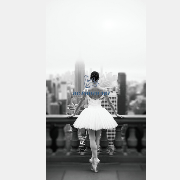 Ballerina and NY 2
