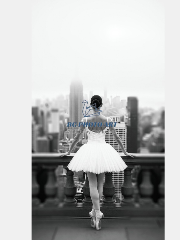 Ballerina and NY 2