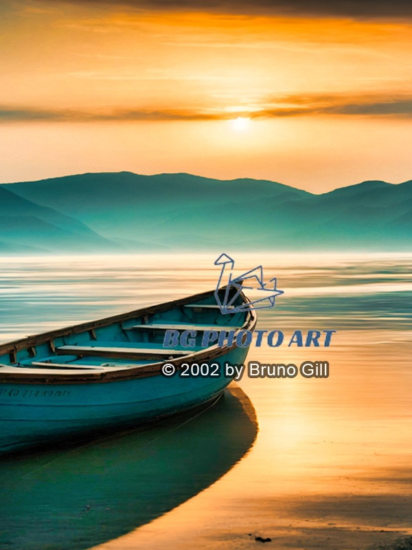 Landscape #3 Sereine solitude