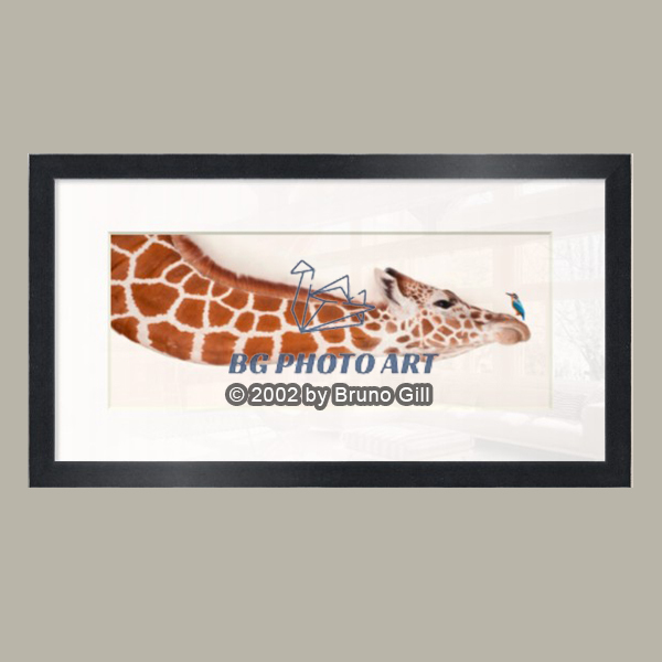 Minimaliste #2 The Meeting