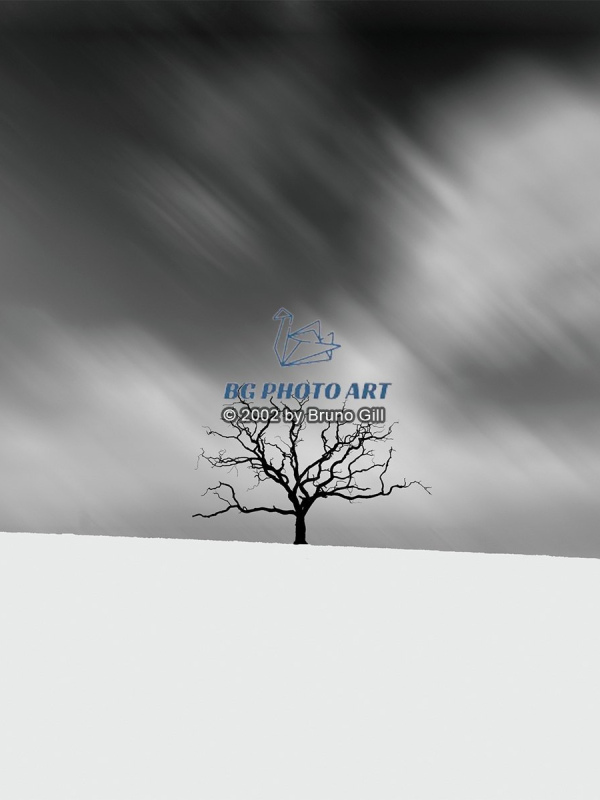 Minimaliste #1 Solitude Winter