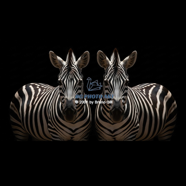 Animals #3TWIN BROTHERS